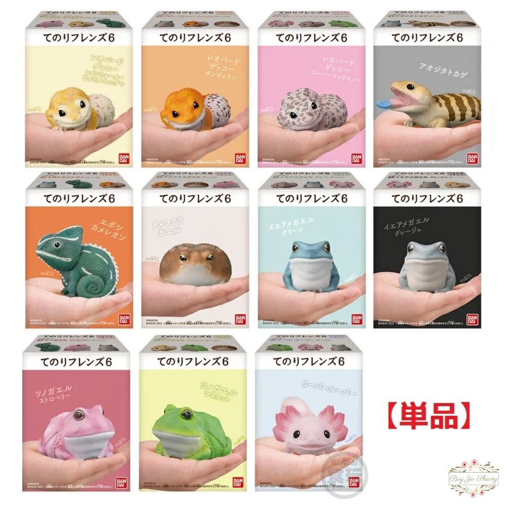 萬代 BANDAI 盒玩 兩棲爬蟲類 海洋好朋友 掌上鸚鵡 掌上好朋友 手乘朋友們 刺蝟 軟膠公仔-細節圖8