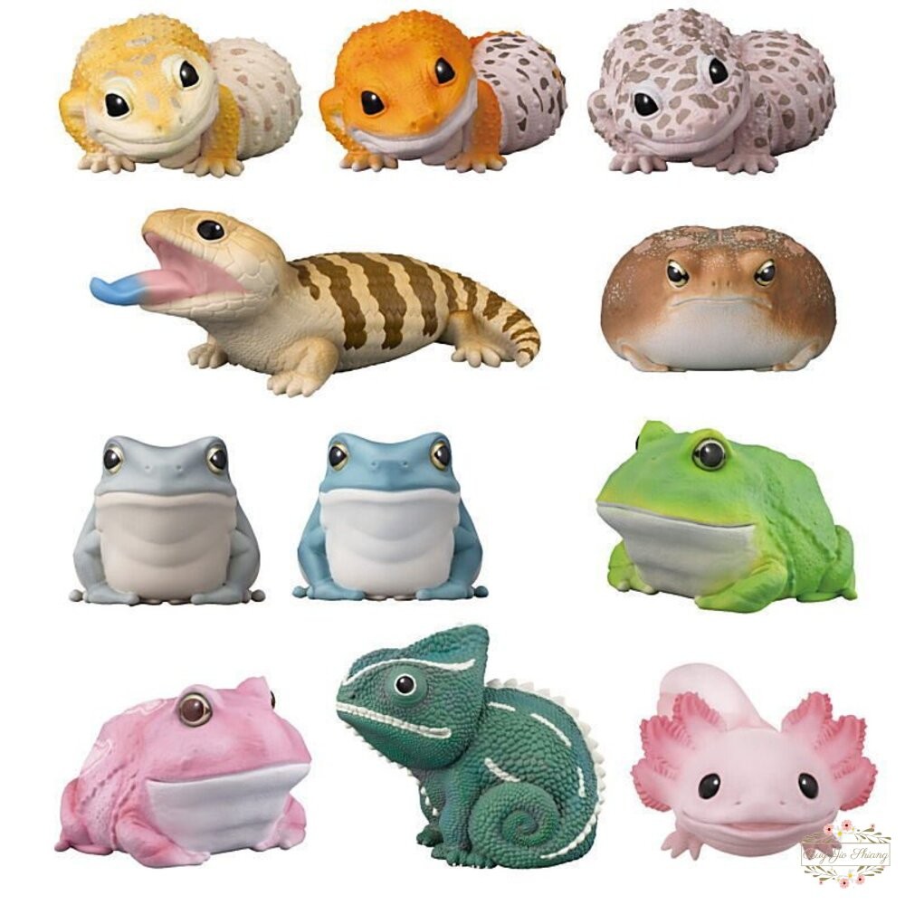 萬代 BANDAI 盒玩 兩棲爬蟲類 海洋好朋友 掌上鸚鵡 掌上好朋友 手乘朋友們 刺蝟 軟膠公仔-細節圖9