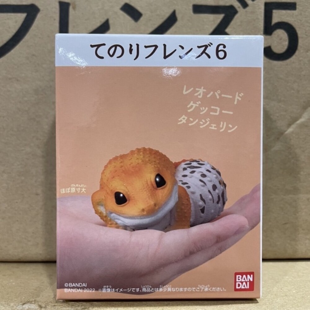 萬代 BANDAI 盒玩 兩棲爬蟲類 海洋好朋友 掌上鸚鵡 掌上好朋友 手乘朋友們 刺蝟 軟膠公仔-規格圖9