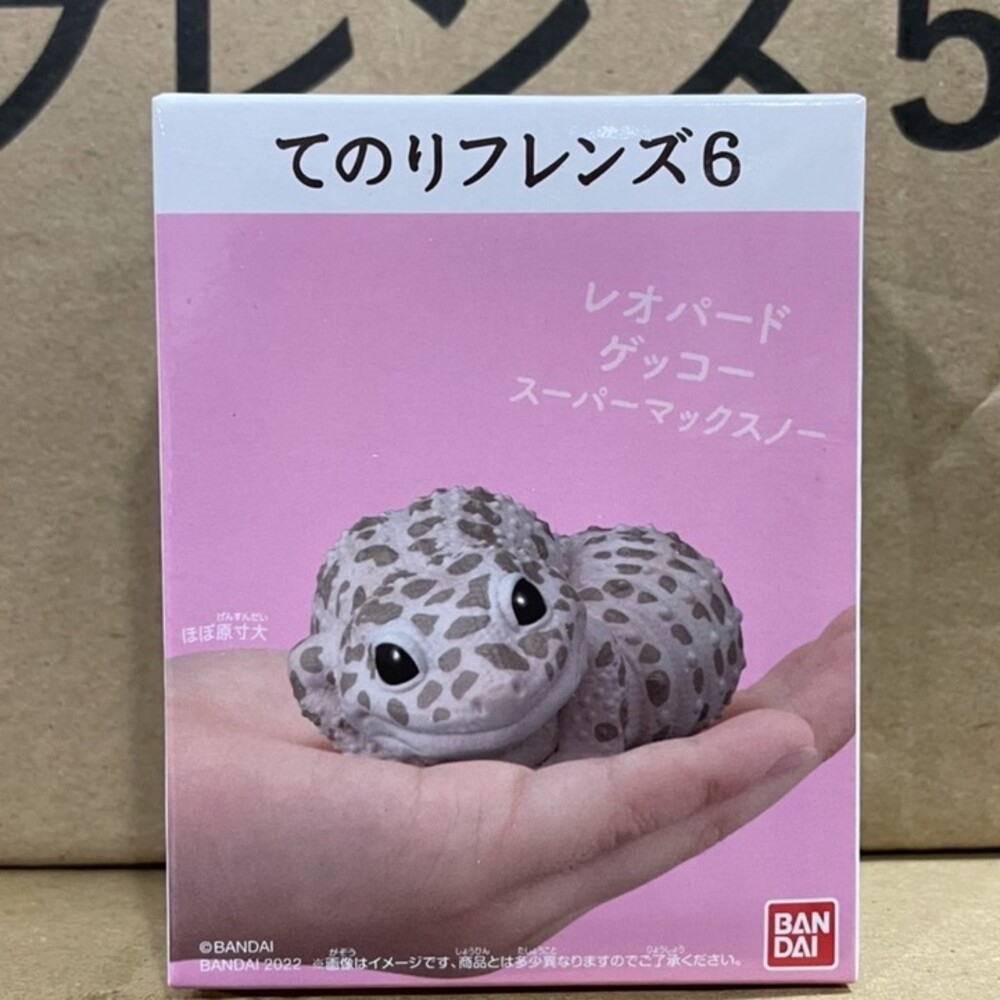 萬代 BANDAI 盒玩 兩棲爬蟲類 海洋好朋友 掌上鸚鵡 掌上好朋友 手乘朋友們 刺蝟 軟膠公仔-規格圖9