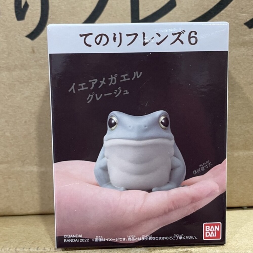 萬代 BANDAI 盒玩 兩棲爬蟲類 海洋好朋友 掌上鸚鵡 掌上好朋友 手乘朋友們 刺蝟 軟膠公仔-規格圖9