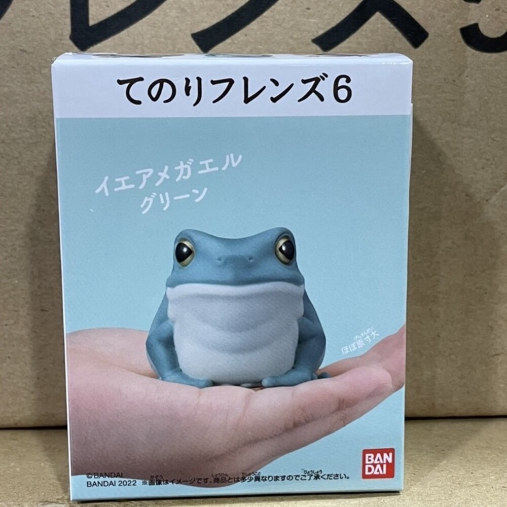 萬代 BANDAI 盒玩 兩棲爬蟲類 海洋好朋友 掌上鸚鵡 掌上好朋友 手乘朋友們 刺蝟 軟膠公仔-規格圖9