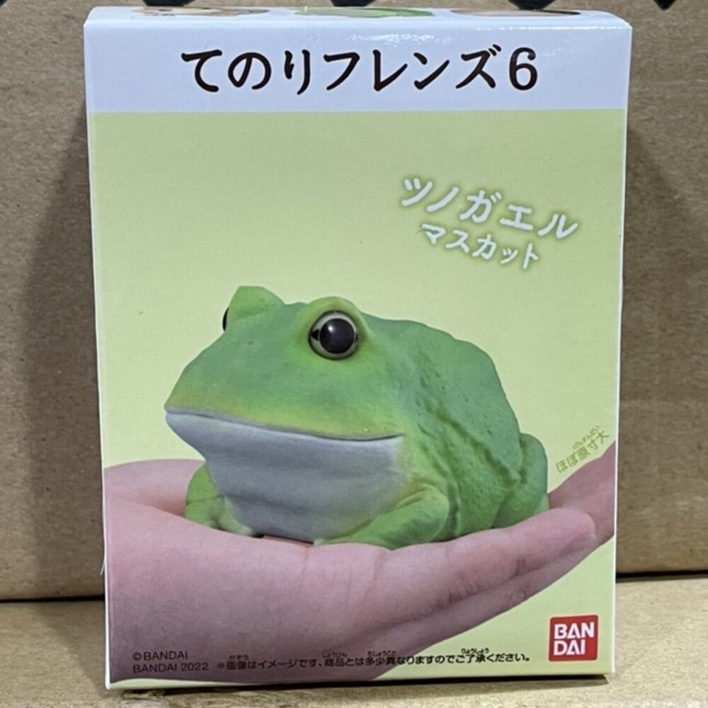 萬代 BANDAI 盒玩 兩棲爬蟲類 海洋好朋友 掌上鸚鵡 掌上好朋友 手乘朋友們 刺蝟 軟膠公仔-規格圖9