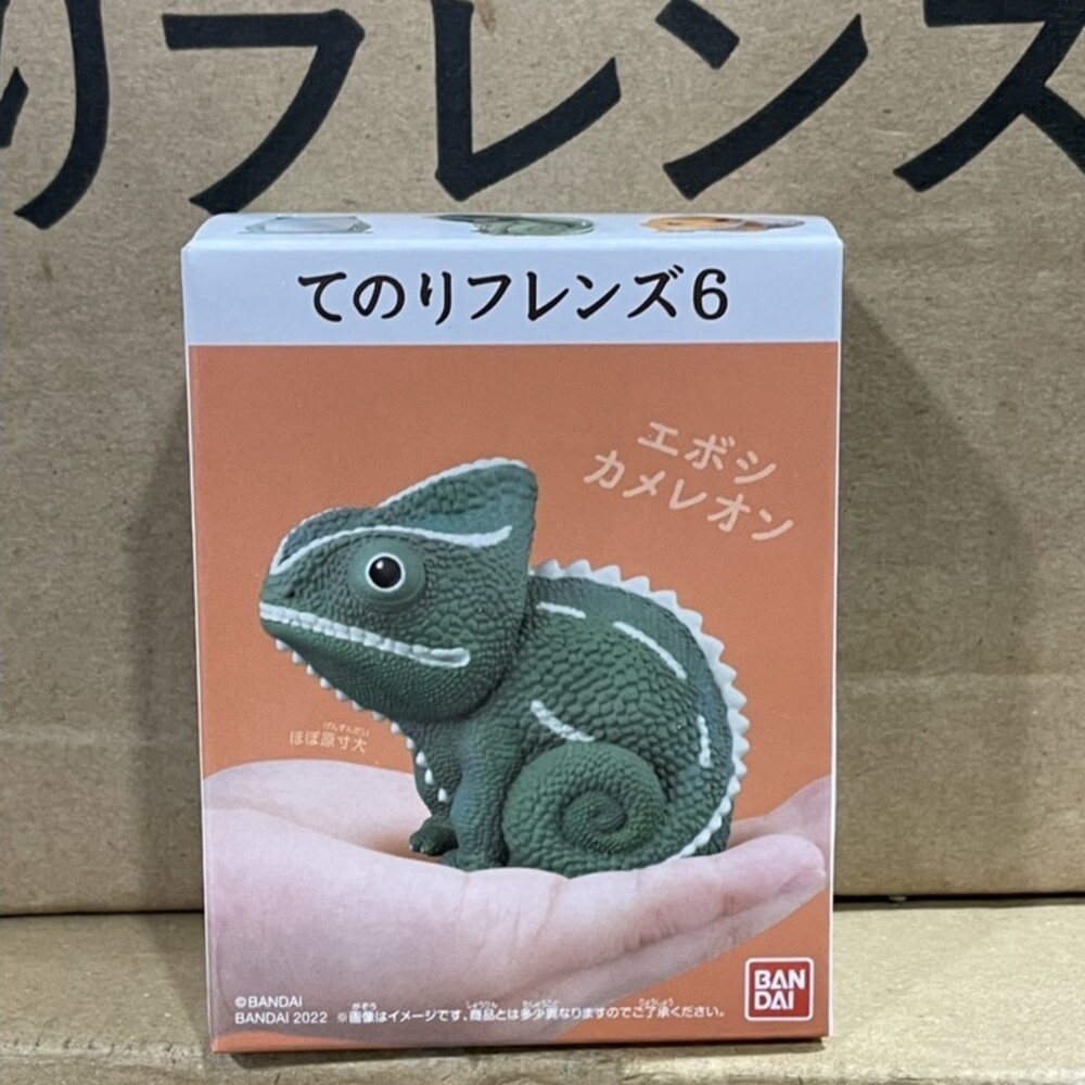 萬代 BANDAI 盒玩 兩棲爬蟲類 海洋好朋友 掌上鸚鵡 掌上好朋友 手乘朋友們 刺蝟 軟膠公仔-規格圖9