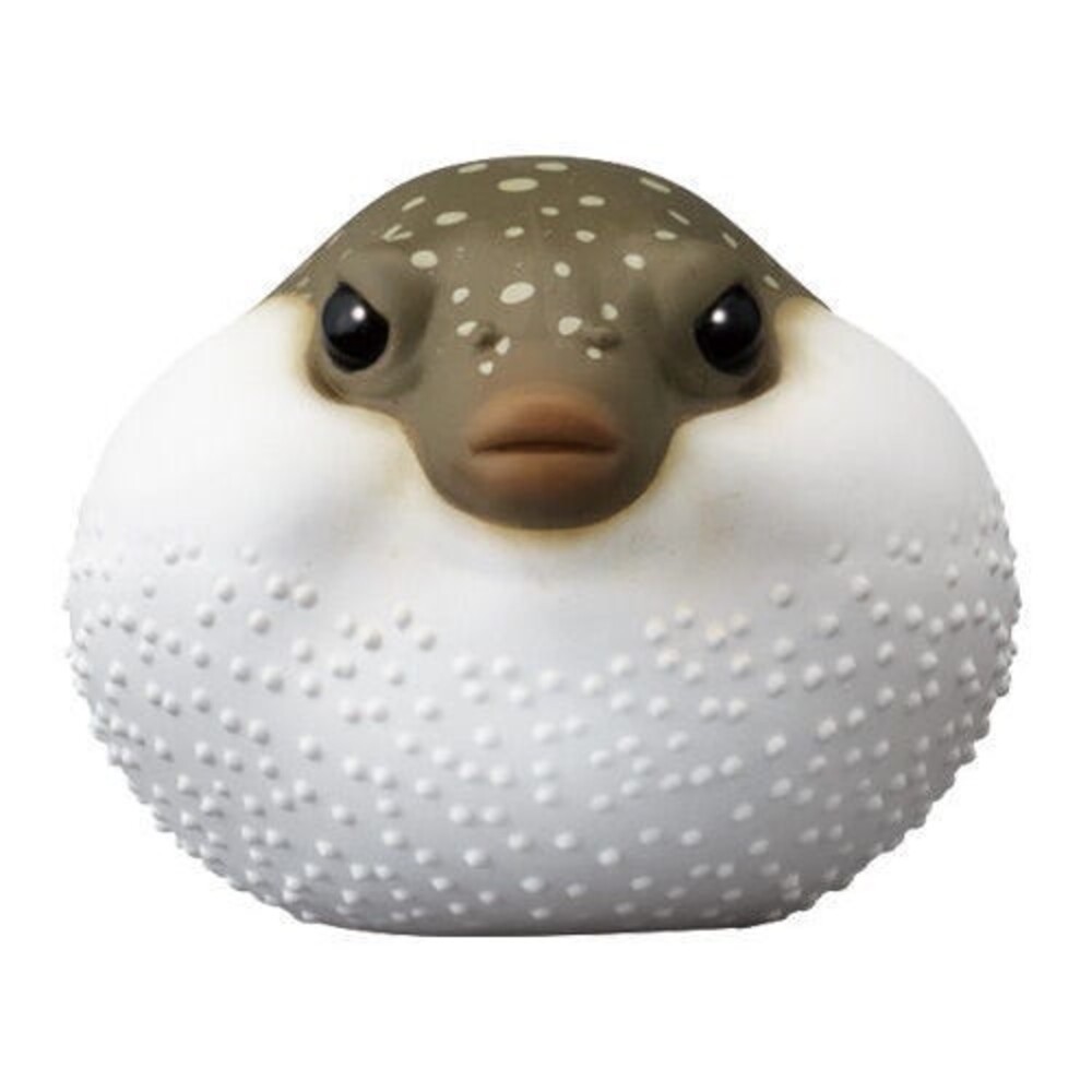 海洋動物4號-河豚