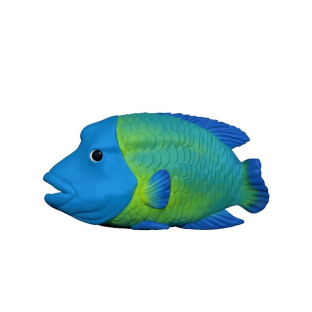 海洋動物8號-蘇眉魚