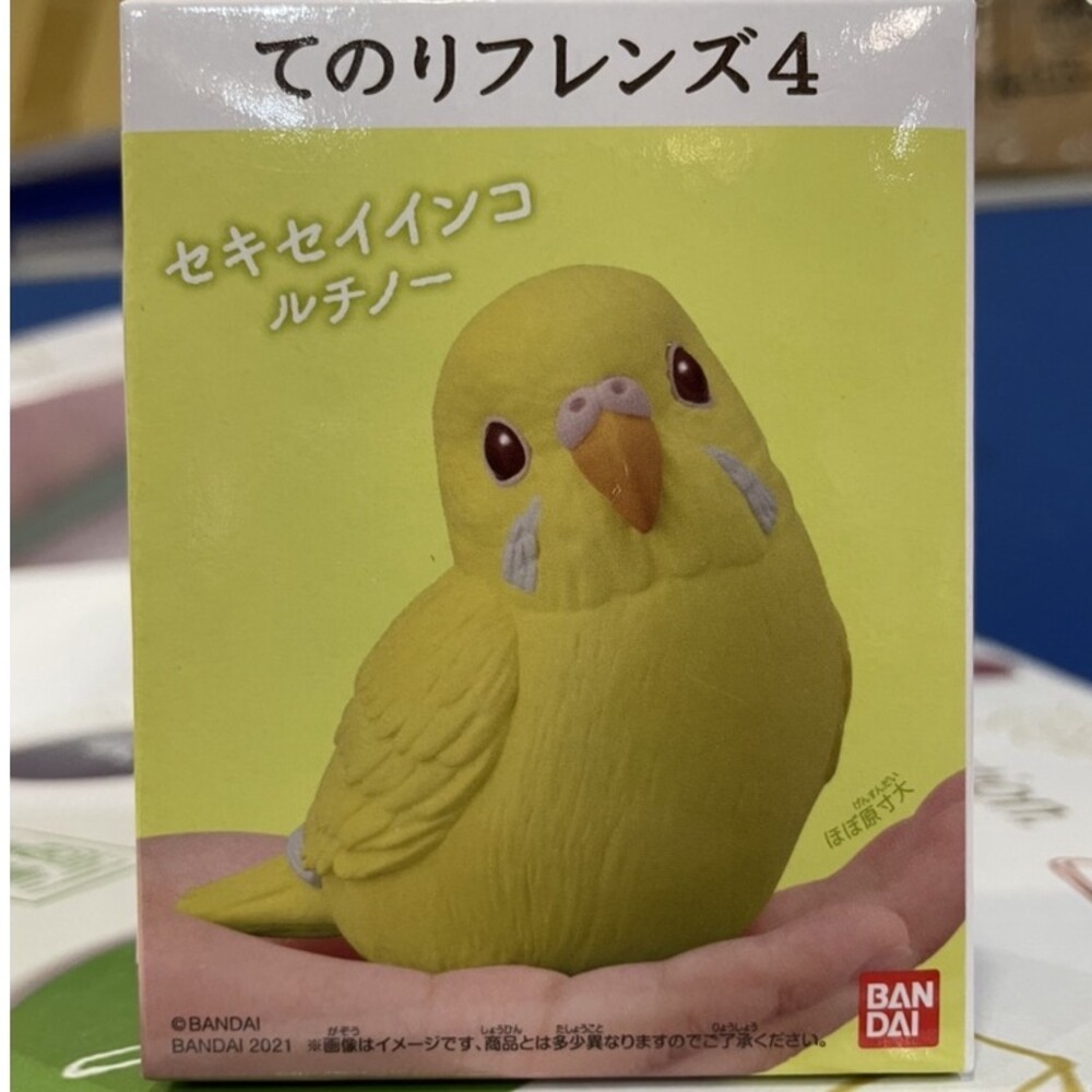 萬代 BANDAI 盒玩 兩棲爬蟲類 海洋好朋友 掌上鸚鵡 掌上好朋友 手乘朋友們 刺蝟 軟膠公仔-規格圖9