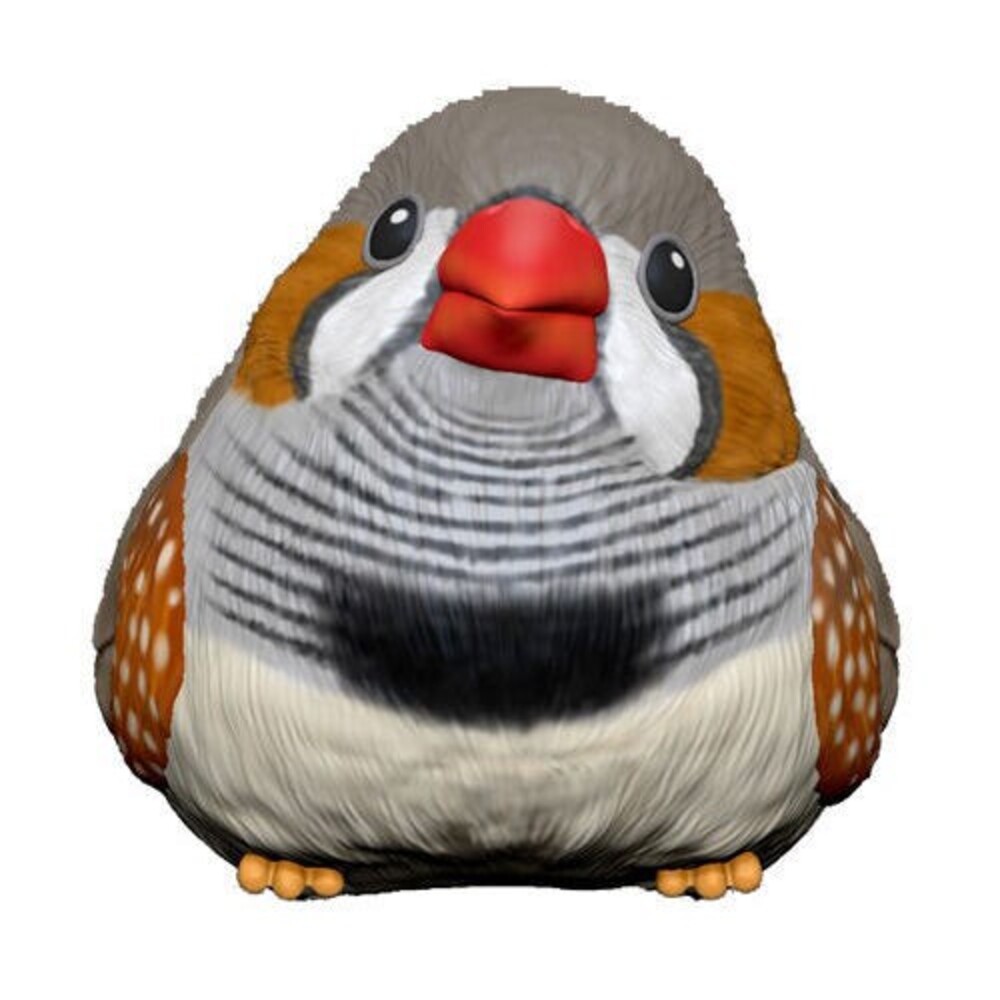 掌上小鳥7號-珍珠鳥