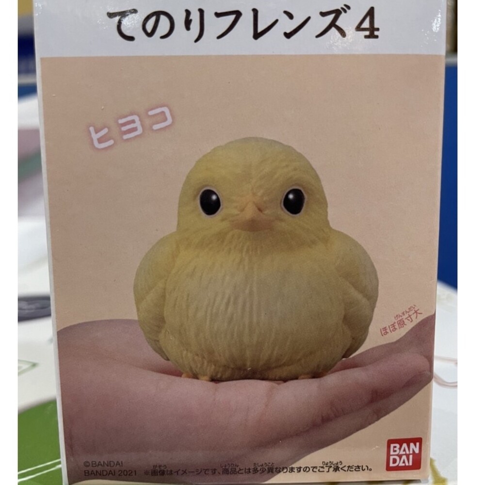 掌上小鳥8號-小雞