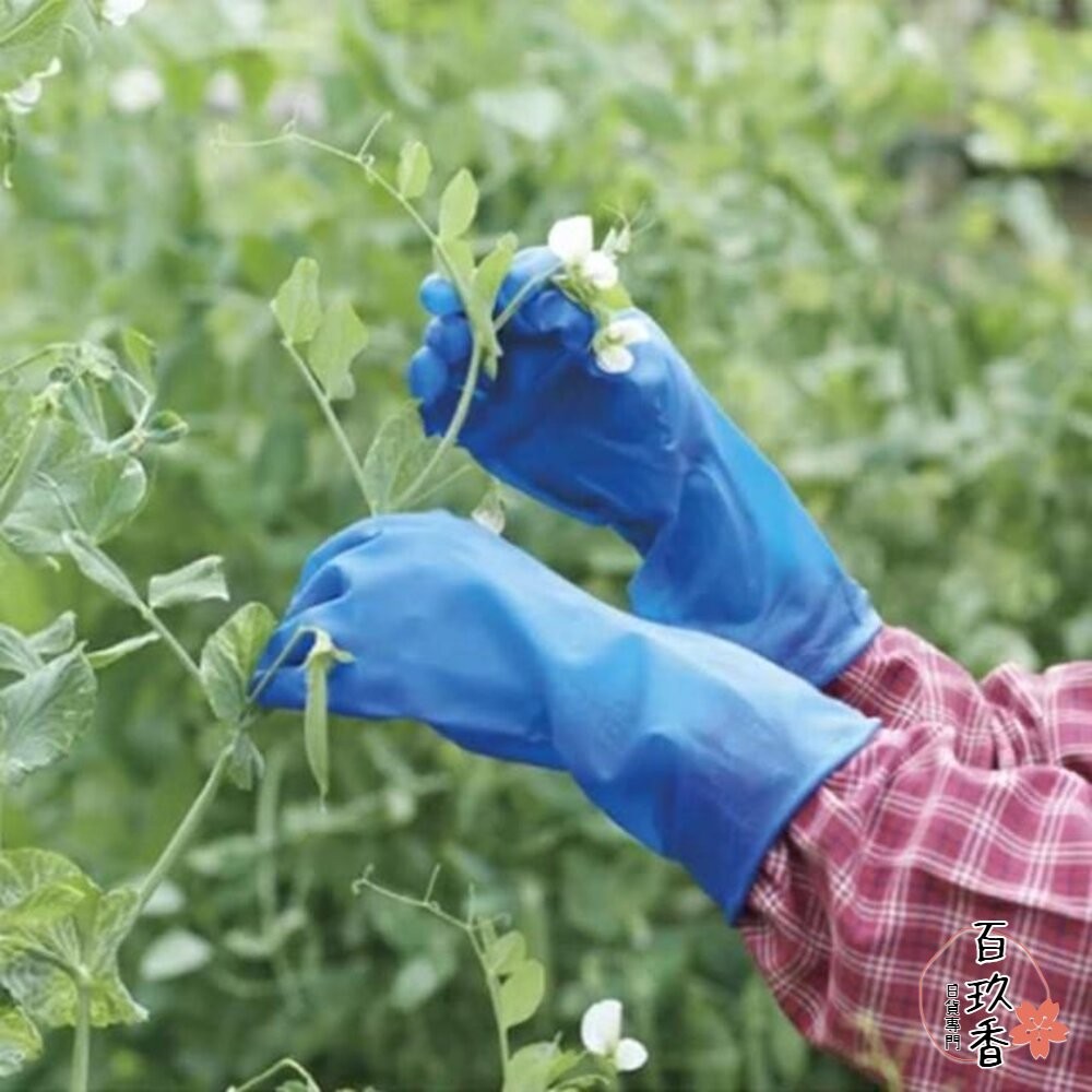 日本製 TOWA 東和手套 橡膠手套 家事手套 工作手套 園藝手套-細節圖8