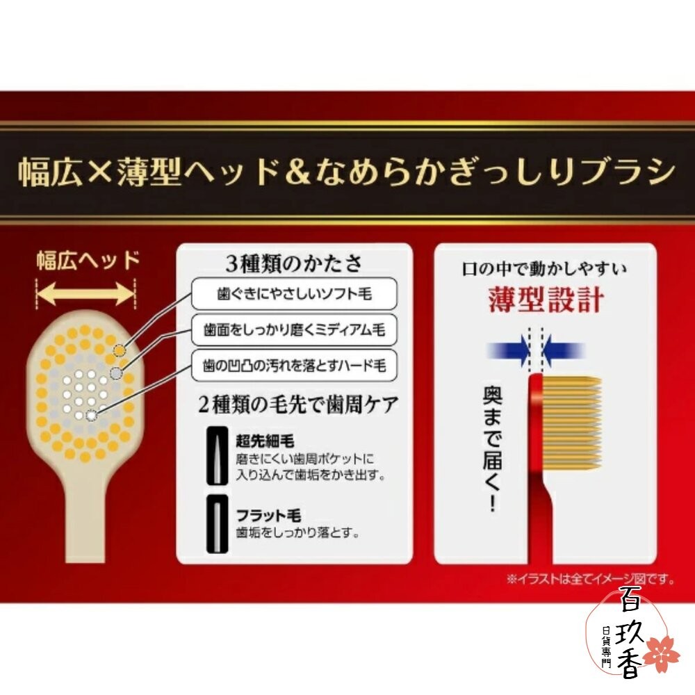 EBISU 兒童牙刷 成人牙刷 優質倍護 極上濃密 寬幅薄型 Tomica 哆啦A夢 史努比-細節圖6