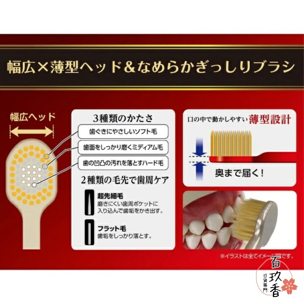 EBISU 兒童牙刷 成人牙刷 優質倍護 極上濃密 寬幅薄型 Tomica 哆啦A夢 史努比-細節圖7