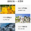 發票+台灣現貨天天寄【粉紅菲菲】網紅直播爆款皇家古龍海洋男士香水持久淡香清新淡雅50ml ( 191 ) 16-1341-規格圖9