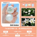 台灣現貨天天寄【粉紅菲菲】詩芒方糖香膏女士持久淡香便攜 網紅直播爆款學生少女清新自然 香水 16-0997-規格圖9