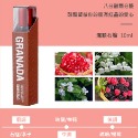 台灣現貨天天寄【粉紅菲菲】詩芒腋下乾爽滾珠香水女士 持久淡香香體露小眾直播爆款學生少女 香水 16-0996-規格圖9