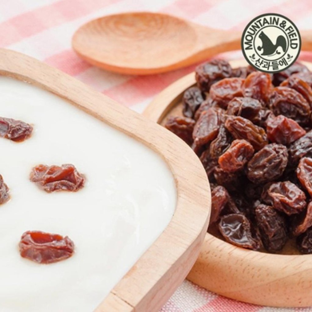 韓國 MOUNTAIN&FIELD 優格葡萄乾 森鼠牌 優格 葡萄乾 葵花籽 團購 熱銷 20g-細節圖7
