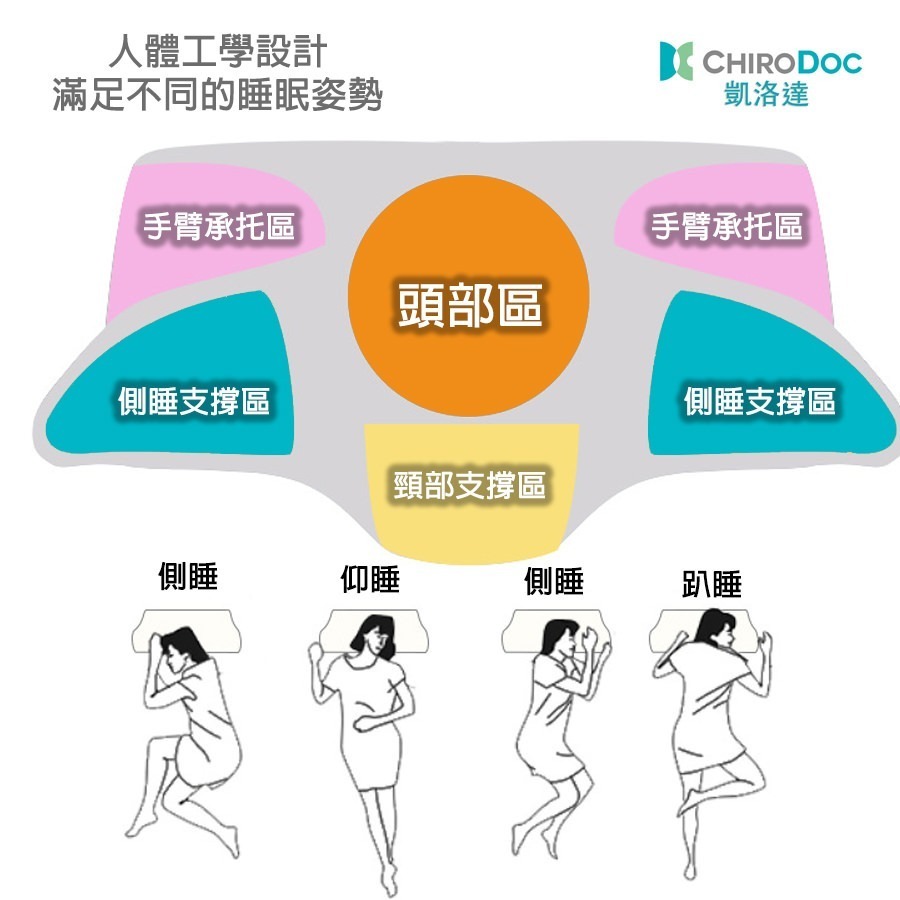 【ChiroDoc記憶枕】蝶型枕 蝴蝶型睡眠記憶枕 慢回彈舒適 牛角枕芯 記憶棉枕 枕頭-細節圖2