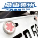 反光屋FKW 車牌螺絲 媽祖 神明 機車螺絲 大牌螺絲 不鏽鋼MIT 含2顆螺絲 新名流 新迪爵 NEW MANY 通用-規格圖8