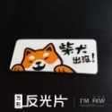 柴犬出沒