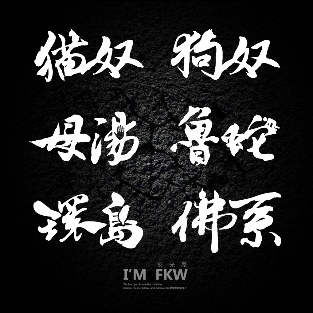 反光屋FKW 貓奴 狗奴 母湯 魯蛇 環島 佛系 3M工程級 草寫書法字 防水耐曬高亮度 個性化無底文字貼 汽車機車車貼-細節圖2