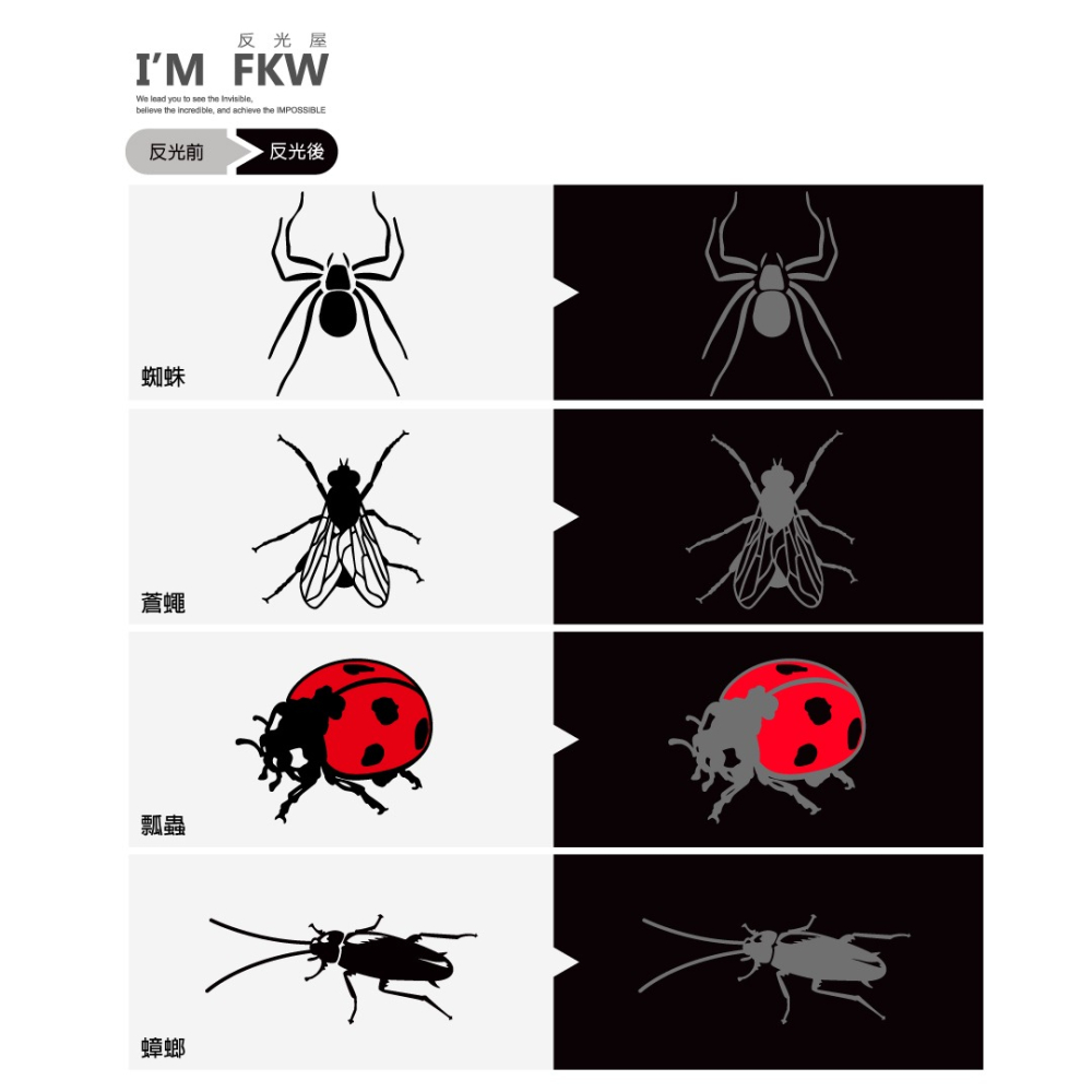 反光屋FKW 昆蟲系列 蟑螂 蒼蠅 蜘蛛 瓢蟲 車貼 反光貼紙 獨特造型 趣味貼紙 防水貼紙 汽車 機車 安全帽-細節圖2