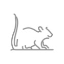 反光屋FKW 生肖 12生肖 鼠 牛 虎 兔 龍 蛇 馬 羊 猴 雞 狗 豬 反光貼紙 車貼 銀白色 防水耐曬 個性圖騰-規格圖7