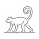 反光屋FKW 生肖 12生肖 鼠 牛 虎 兔 龍 蛇 馬 羊 猴 雞 狗 豬 反光貼紙 車貼 銀白色 防水耐曬 個性圖騰-規格圖7