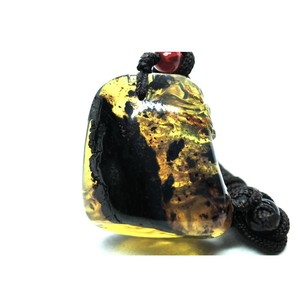 多米尼加藍珀 多明尼加藍珀 藍珀麒麟(付大師收藏證書)(付GIC檢定證書)-細節圖4