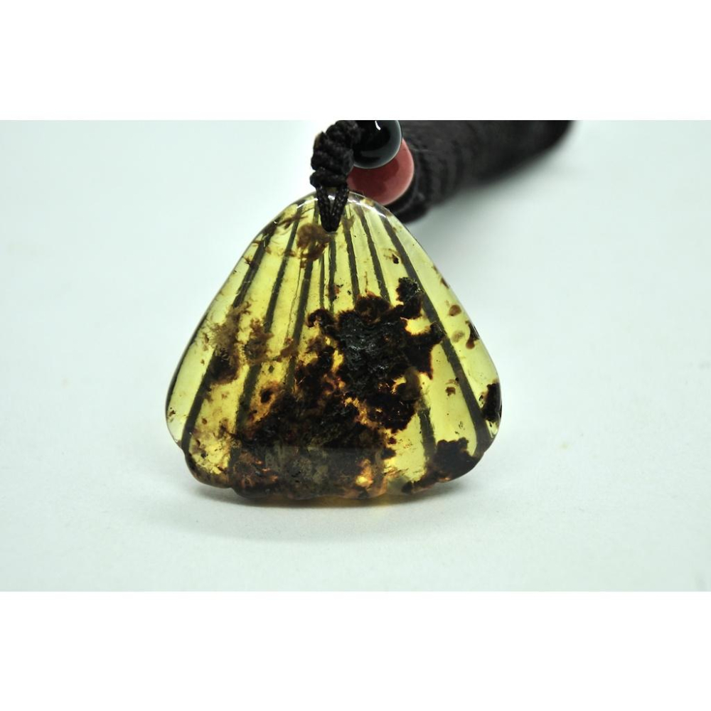 多米尼加藍珀 多明尼加藍珀 藍珀貝殼(帶植物出皮)-細節圖3