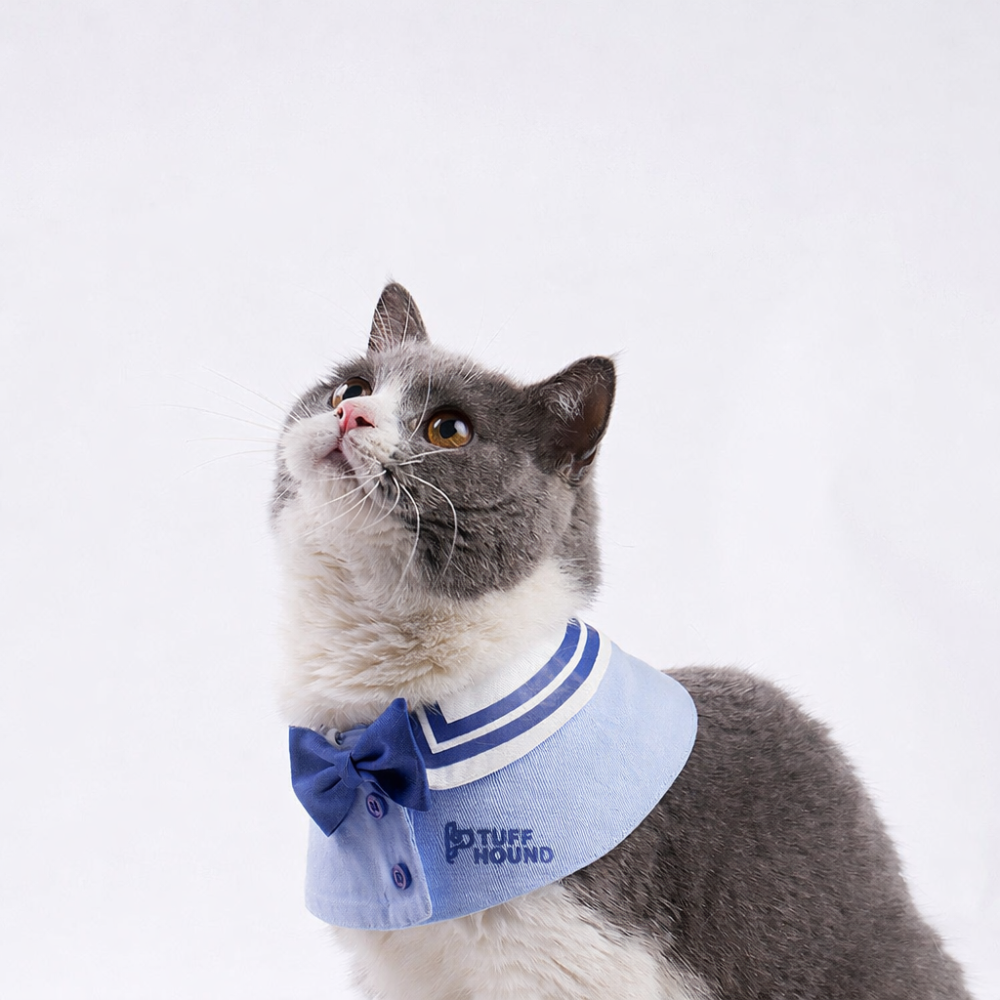 寵物學院風圍脖｜狗狗貓咪領巾-細節圖2