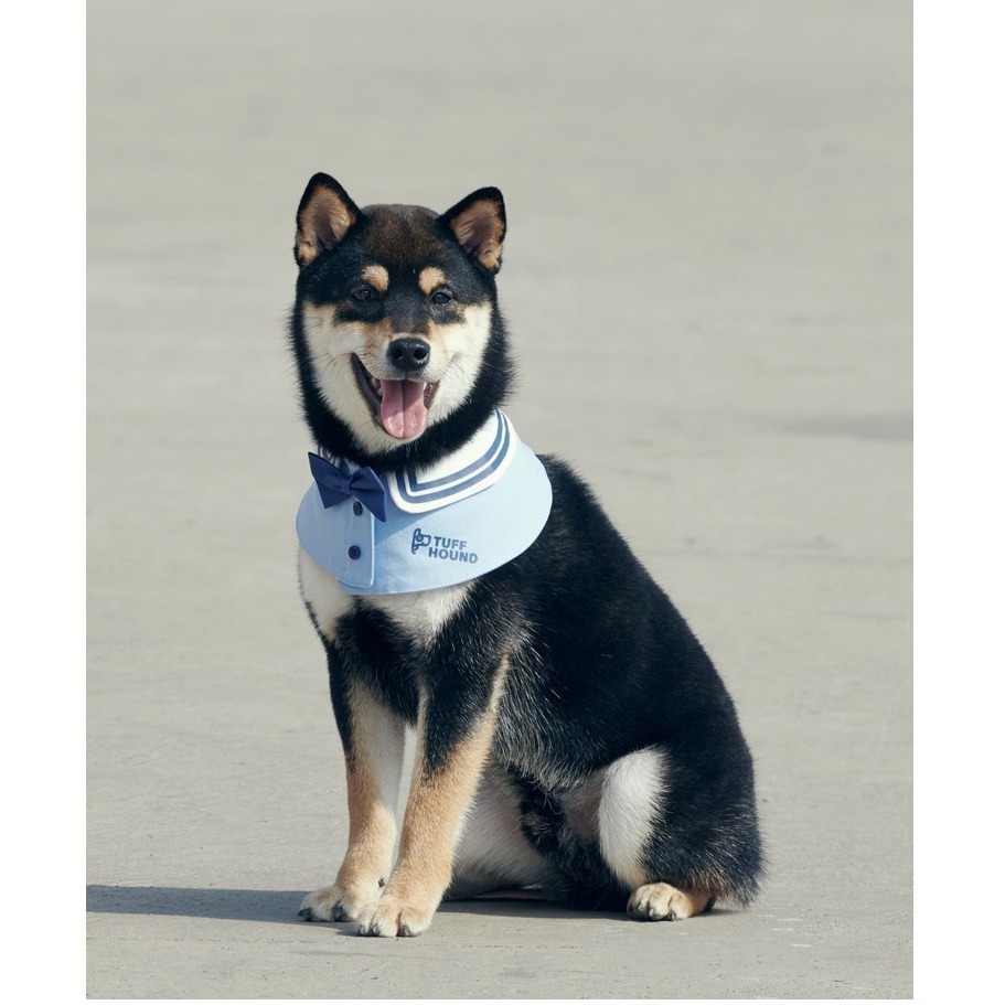 寵物學院風圍脖｜狗狗貓咪領巾-細節圖3