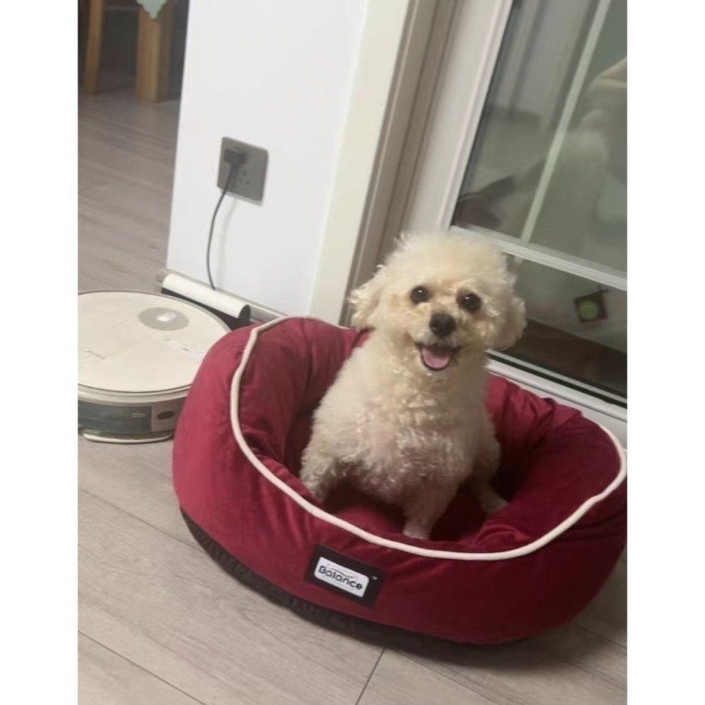 【預售】BALANCE牌深睡立體窩🛵高雄市左營區🉑到店自取-細節圖6