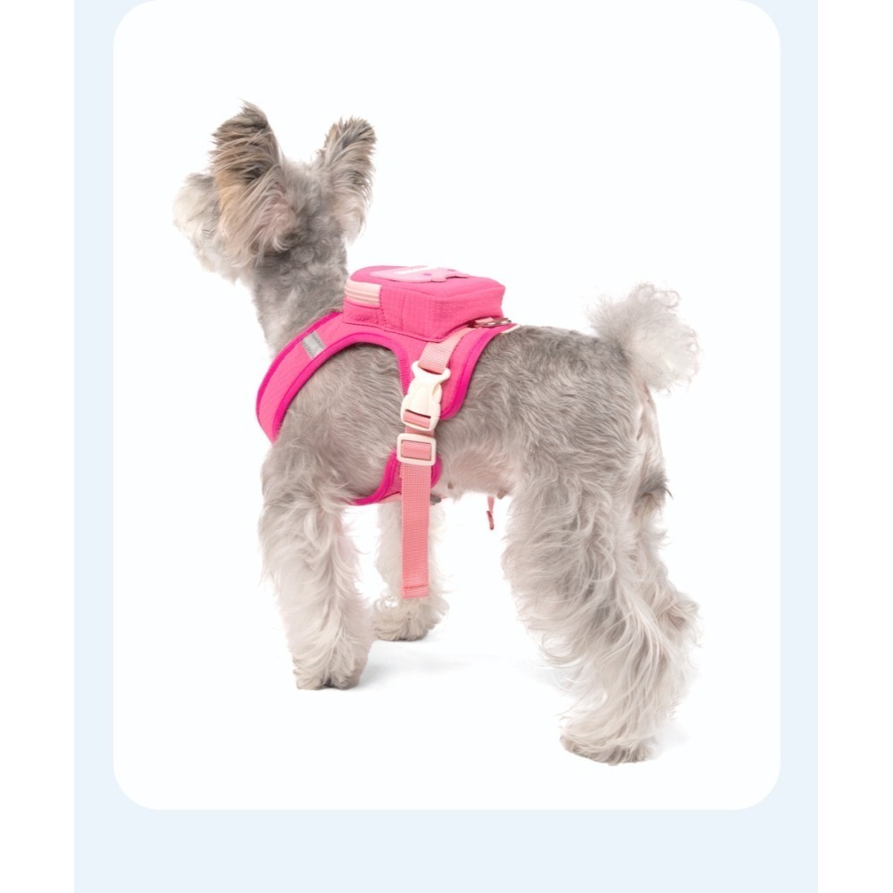 寵物胸背牽引套裝｜狗狗外出背包-細節圖3