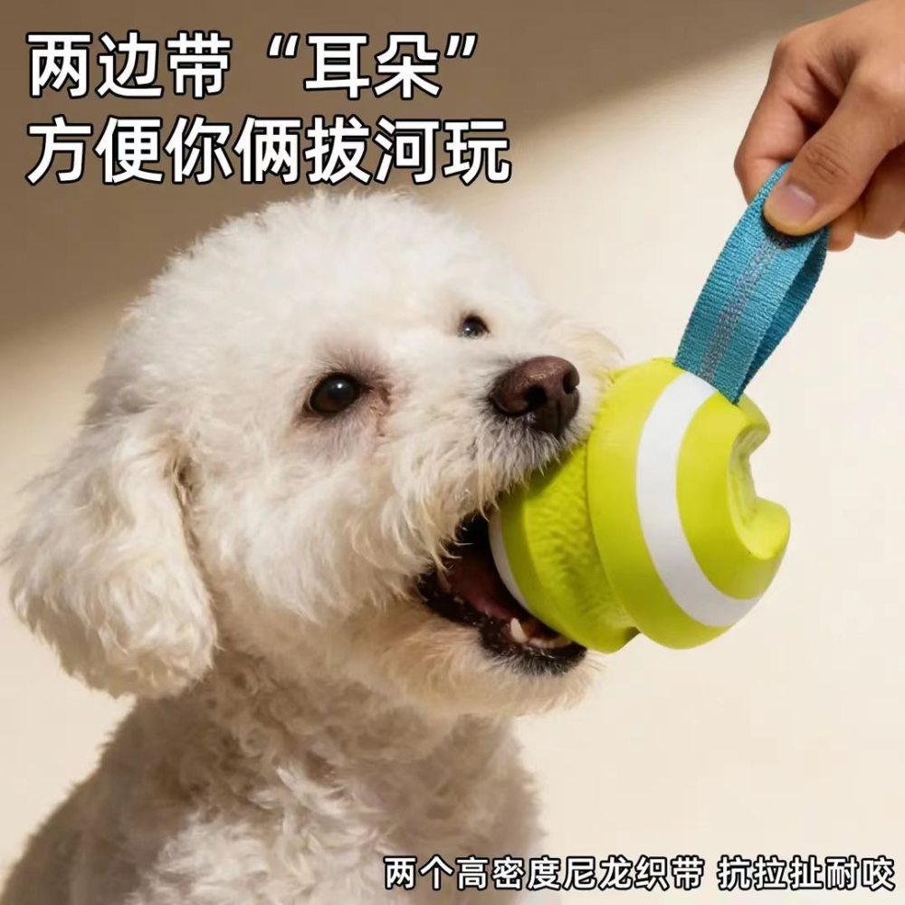 寵物彈力大網球 | 直徑10cm 適合中大型犬-細節圖3