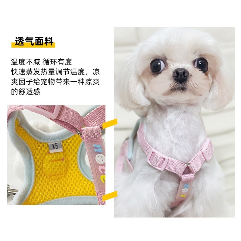 寵物奶萌熊兔透氣胸背套裝-細節圖2