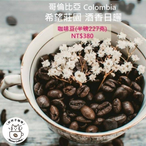 【妙杯子咖啡 Meow Coffee】哥倫比亞 希望莊園 酒香日曬 🤎 咖啡豆