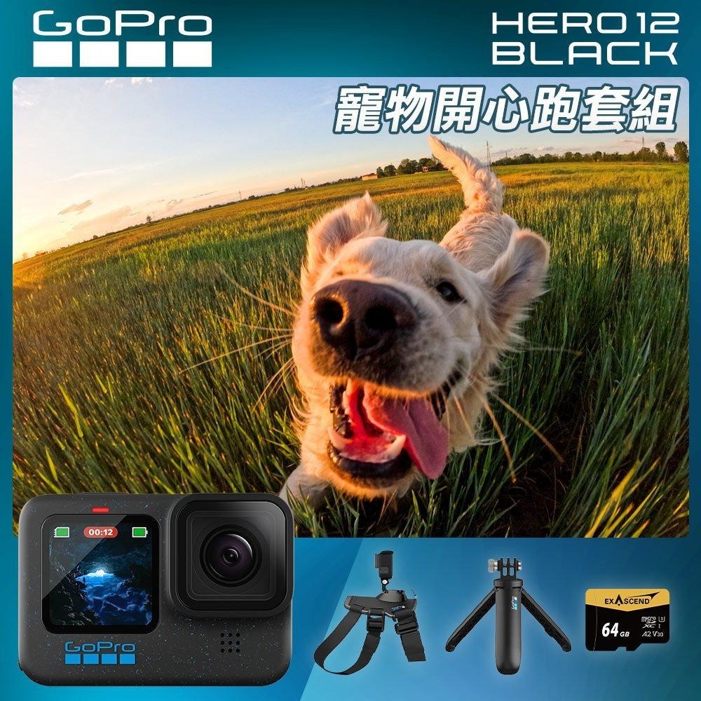 【GoPro】HERO 12 Black 寵物開心跑套組 CHDHX-121-RW 正成公司貨-細節圖4
