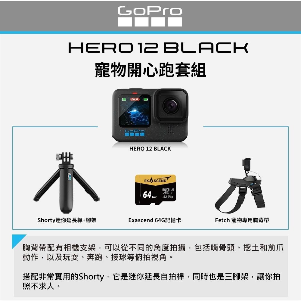 【GoPro】HERO 12 Black 寵物開心跑套組 CHDHX-121-RW 正成公司貨-細節圖5
