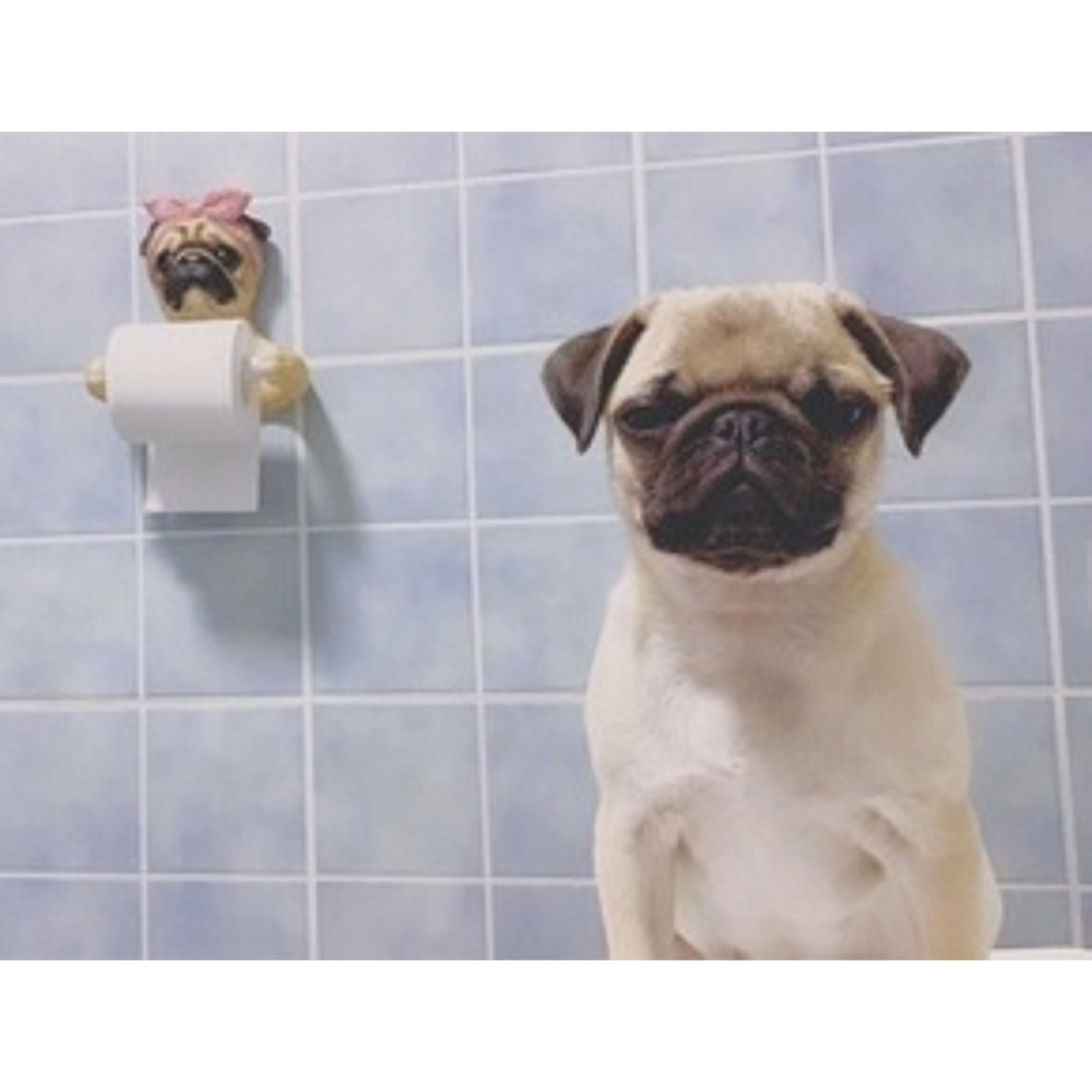 巴哥 PUG 可愛巴哥狗狗 免打孔 浴室 牆面 壁掛式 衛生紙捲架-細節圖4
