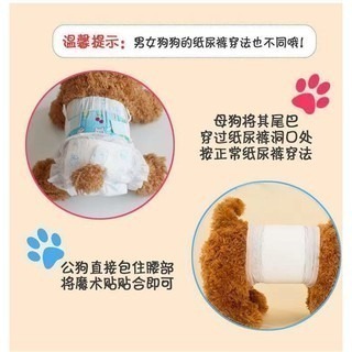 威哥寵物 寵物紙尿褲  寵物紙尿布 公母狗尿布 狗狗紙尿布 狗狗紙尿褲 狗狗生理褲 紙尿布 紙尿褲 尿褲 生理褲 禮貌帶-細節圖4