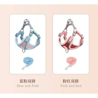 【現貨 超取免運費】背心式寵物胸背帶 狗牽繩胸背帶 胸背帶 牽繩 狗狗胸背帶 寵物胸背帶 狗狗背帶 狗鏈 狗牽繩-細節圖4