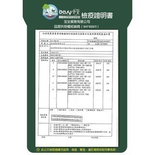 威哥寵物 Oasy 歐喜 義大利貓罐 主食罐 鮮食罐 70g 幼貓 成貓 高齡貓 貓餐盒 貓餐包 貓罐頭 貓糧 惜時-細節圖7