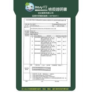 威哥寵物 Oasy 歐喜 義大利貓罐 主食罐 鮮食罐 70g 幼貓 成貓 高齡貓 貓餐盒 貓餐包 貓罐頭 貓糧 惜時-細節圖8