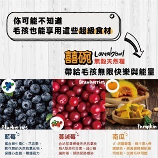 【威哥寵物】加拿大囍碗 無穀 貓糧 囍碗 貓飼料 Loveabowl 雞肉 雪蟹 龍蝦 鮭魚 鯡魚 全齡貓-細節圖5