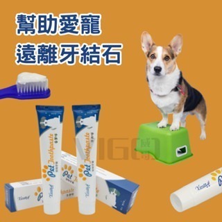 【威哥寵物】 寵物牙膏 狗狗牙膏 寵物牙刷  貓咪牙膏 品牌牙膏 寵物牙膏 狗狗牙膏防蛀牙牙結石貓狗通用 潔牙護齒-細節圖3
