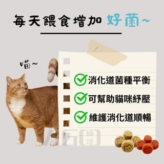 【威哥寵物】歐姆貓乳酸菌爆脆餅 OMO 貓餅乾 貓咪零食 貓咪點心 貓餅乾 貓脆餅 乳酸菌餅乾 貓咪-細節圖3