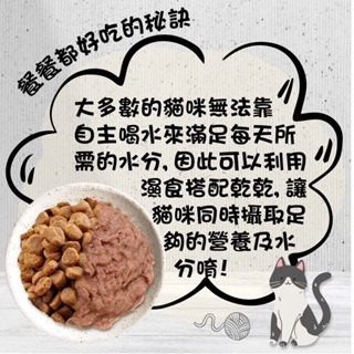 【威哥寵物】vosto 鮮肉補鐵罐 大容量170g 深海罐 貓罐頭 副食罐 補水罐 貓餐盒 貓食 鮪魚罐 貓零食-細節圖2