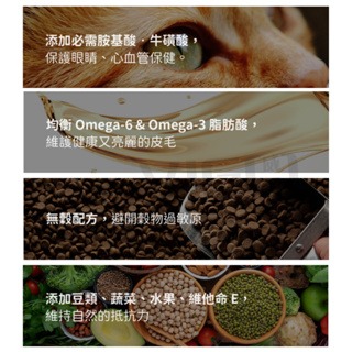 【威哥寵物】海陸饗宴 無榖貓 鮭魚鹿肉 鱒魚燻鮭 鴨肉鵪鶉 2.27kg / 6.6kg 貓飼料 貓糧 無穀糧 無穀-細節圖2