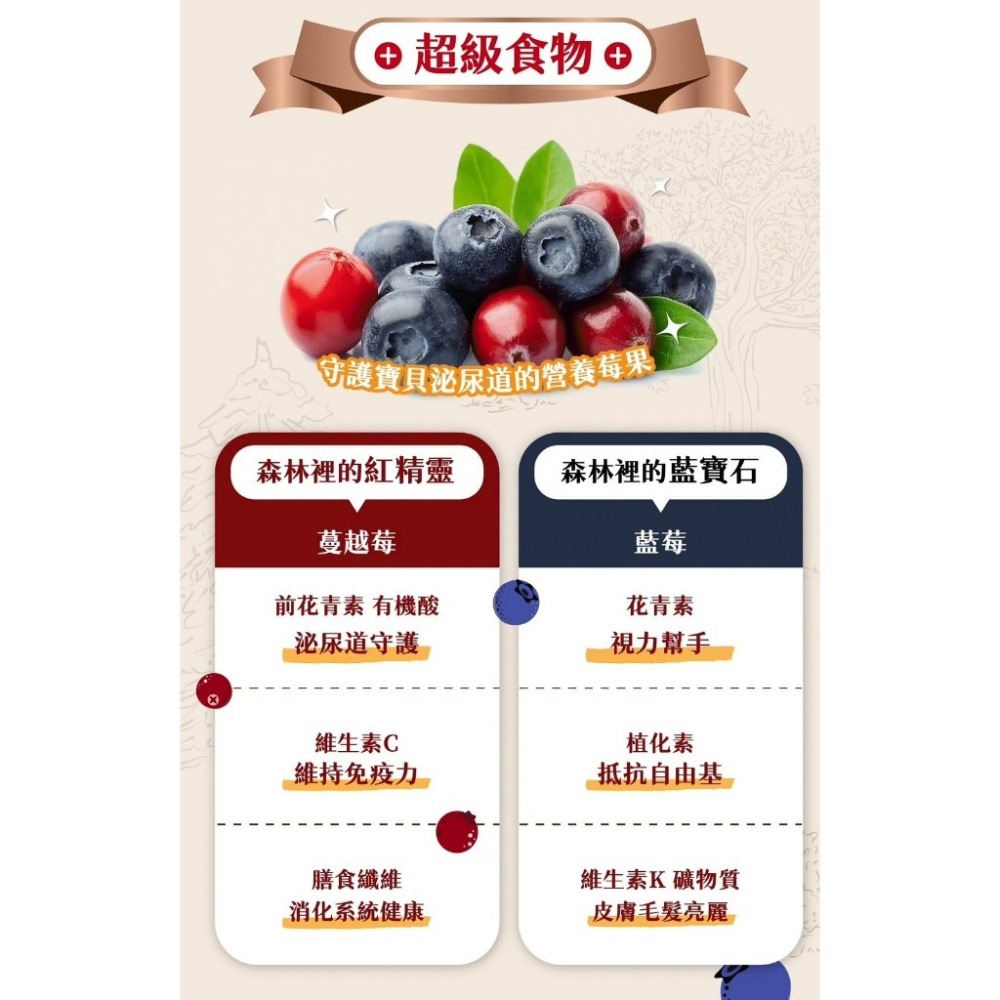 【威哥寵物】長靴貓 貓主食泥罐 貓罐 80克 幼貓 成貓 全齡貓 貓罐頭 主食罐-細節圖5