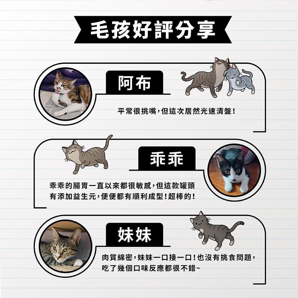 艾爾博士 貓艾歐 Dr. Elsey＇s 貓主食罐 貓咪罐頭 貓咪主食罐 貓罐 貓主食 貓濕糧 貓罐頭-細節圖7